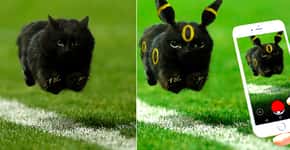 Gato invade jogo de rúgbi e internet responde com memes hilários
