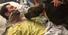 Hospital autoriza que cão se despeça de dono em estado terminal