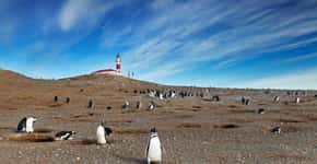 Passagens para Punta Arenas, no Chile, a partir de R$ 1.219