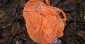 Quênia proíbe produção, venda e uso de sacolas plásticas
