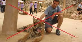 Tinder pede que usuários retirem selfies com tigres de seu perfil