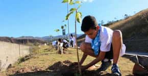 Crianças começam plantio de um milhão de árvores em Mariana