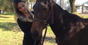 Ex-policial gaúcha cria petição para adotar cavalo maltratado