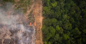 O que deveria ser feito para atingir desmatamento zero no Brasil