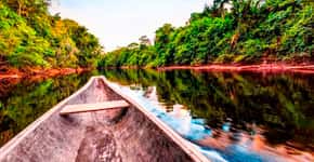 Vídeo: 7 curiosidade para você virar um expert em Amazônia