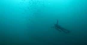 Saiba como é um mergulho de batismo na Ilha Grande; veja o vídeo