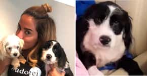 Cachorro adotado por Anitta tem poltrona própria em jatinho