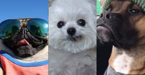 VÍDEO: Estes cachorros representam você e seus amigos