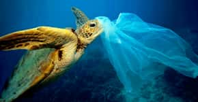 Plástico mata 100 mil animais marinhos todos os anos