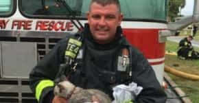 Gato resgatado em incêndio é ressuscitado por bombeiros