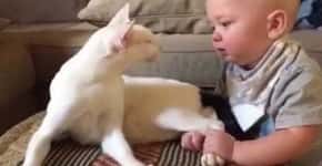Bebê agarra pata de gato recém-adotado e felino surpreende