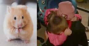 Menino ganha hamster de irmã e cai no choro de tanta emoção; assista ao vídeo