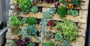 7 ideias para montar um jardim vertical com pouco dinheiro
