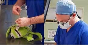 Médico opera brinquedo para fazer companhia à criança em hospital