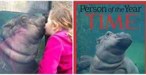 Amor em extinção: ‘beijo’ entre garotinha e hipopótomo encanta