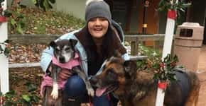 Por compaixão, enfermeira acolhe cães em estado terminal