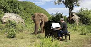 Elefanta cega aprecia música clássica em santuário na Indonésia