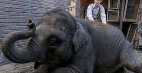 Por respeito aos animais, PETA pede boicote ao filme ‘Zoo’