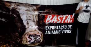 Milhares de pessoas pedem o fim da exportação de animais vivos