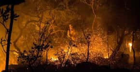 Instituto Chico Mendes lança campanha de combate às queimadas