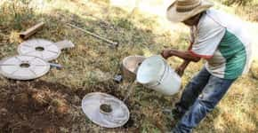 Vaso biodegradável abastece de água e protege mudas em solo árido