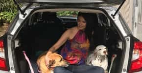 Carro ‘pet friendly’ vira um apê para viagem com cães grandes