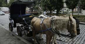 Votação decreta fim do uso de cavalos em charretes em Petrópolis