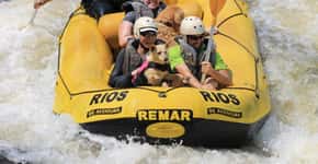 Rafting com cães: veja 8 aventuras pet friendly em Socorro (SP)