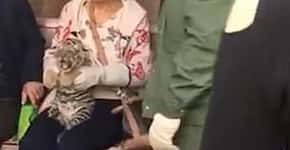 Filhote de tigre chora enquanto turistas o seguram para selfies