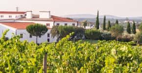 6 razões para visitar as vinícolas do Alentejo