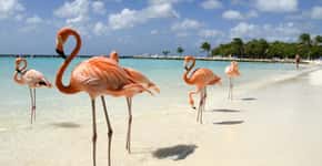 Aruba lança promoção para atrair turistas brasileiros