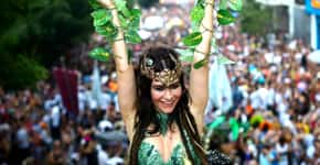 Carnaval é celebrado com Toca Raul e Acadêmicos do Baixo Augusta