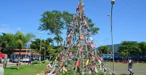 Ubatuba ergue árvore de Natal feita de lixo recolhido das praias