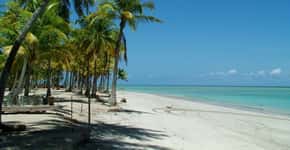 Descubra o paraíso de águas azuis e praias vazias de Alagoas