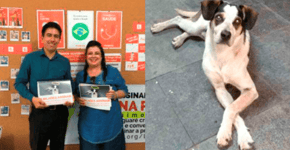 Promotor recebe petição que pede justiça a cão morto no Carrefour