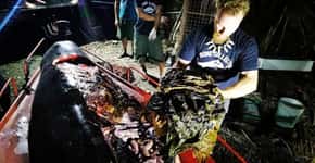 Baleia é encontrada morta com 40 kg de lixo plástico no estômago
