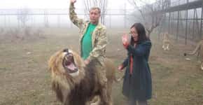 Zoo abusa de leões e permite que visitantes entrem em jaulas