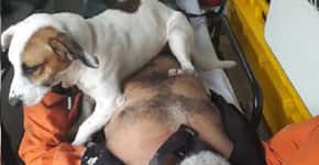 Cachorro protege dono atropelado e vai com o Samu ao hospital