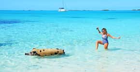 11 razões para conhecer a exótica ilha de Exuma, nas Bahamas