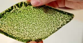Estudante cria folha sintética que ‘respira’ e produz oxigênio