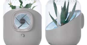 Purificador de ar usa plantas como filtro