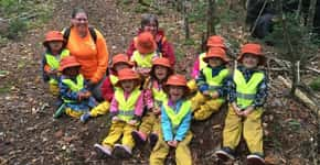 Vídeos mostram a importância da educação ambiental