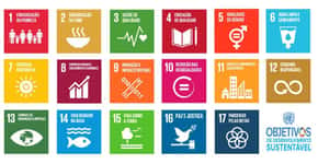 Escola Concept adota 2 dos 17 objetivos da ONU
