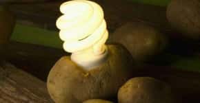 Cientistas criam aparelhos ‘movidos a batata’ para gerar energia
