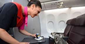Adoráveis fotos de animais de estimação viajando com seus donos em aviões
