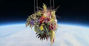 Artista usa balão para enviar bonsai e flores ao espaço