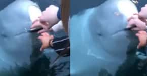 Baleia devolve celular de turista que caiu no mar na Noruega