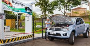 Usina de Itaipu usa fezes de galinha pra produzir energia limpa