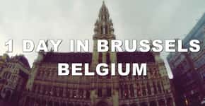 Bruxelas ganha tapete gigante feito por 750 mil begônias