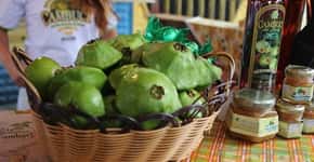 Feira Caminhos do Cambuci reúne delícias derivadas da fruta